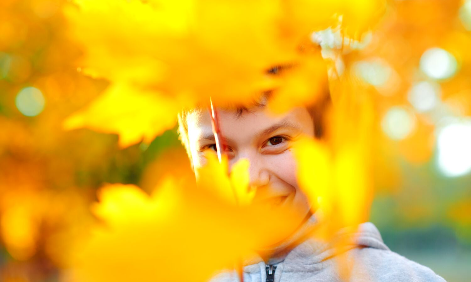 Boy looking through some yellow leaves. 